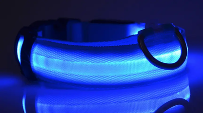 Luminous Glow-In-The-Dark Led Pet Collar: The Ultimate Night Safety Accessory For Dogs And Cats