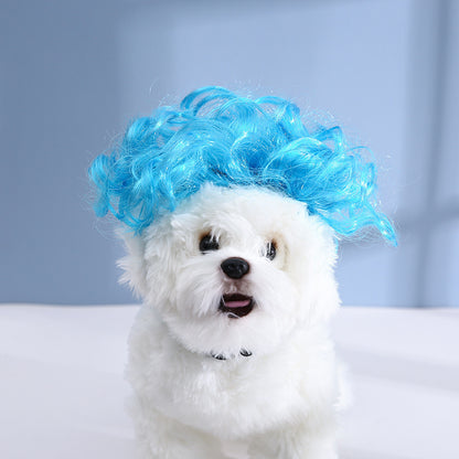 Pet Hair Accessory