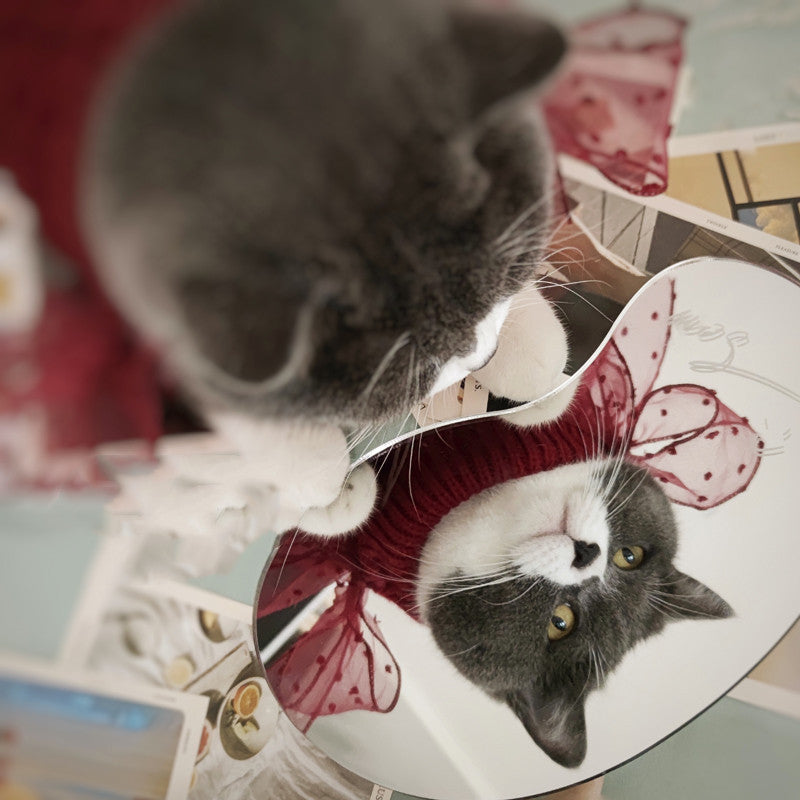 Cozy Pet Knitwear