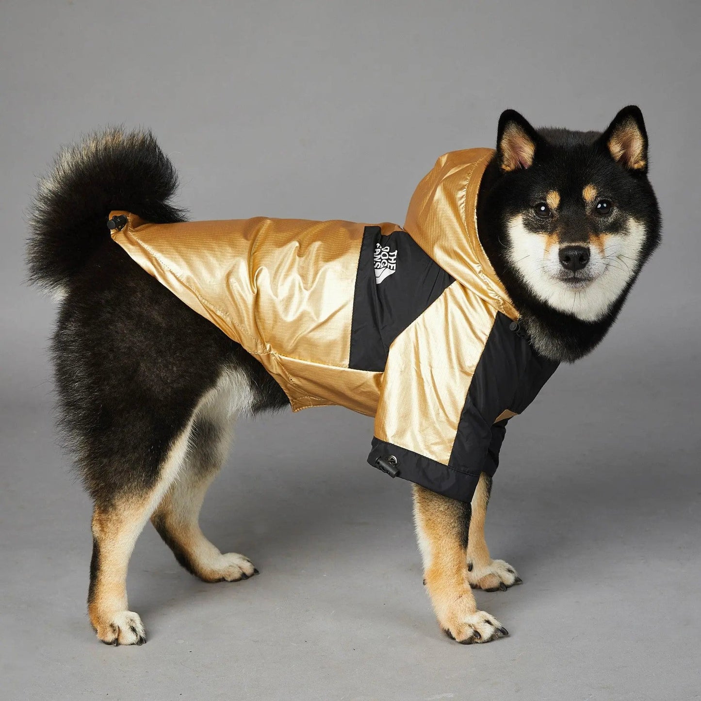 Golden Dog Raincoat - Stylish And Waterproof Pet Jacket