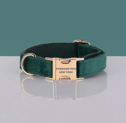 PAWSOME DOG COLLAR - #25