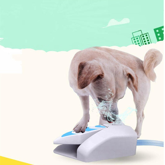 Automatic Water Feeder
