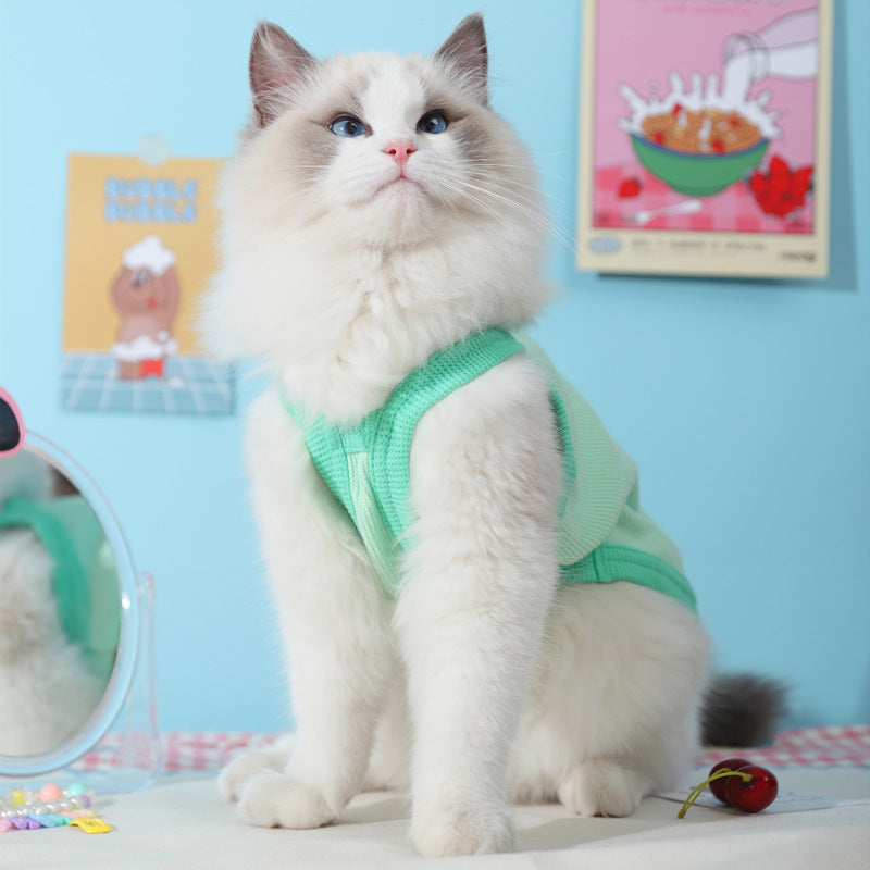 Pet Cooling Vest