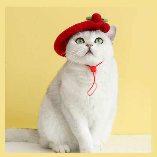 Painter Cat Hat