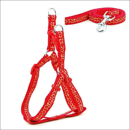 Pet Adventure Chest Strap Leash - Premium Quality Dog And Cat Walking Harness
