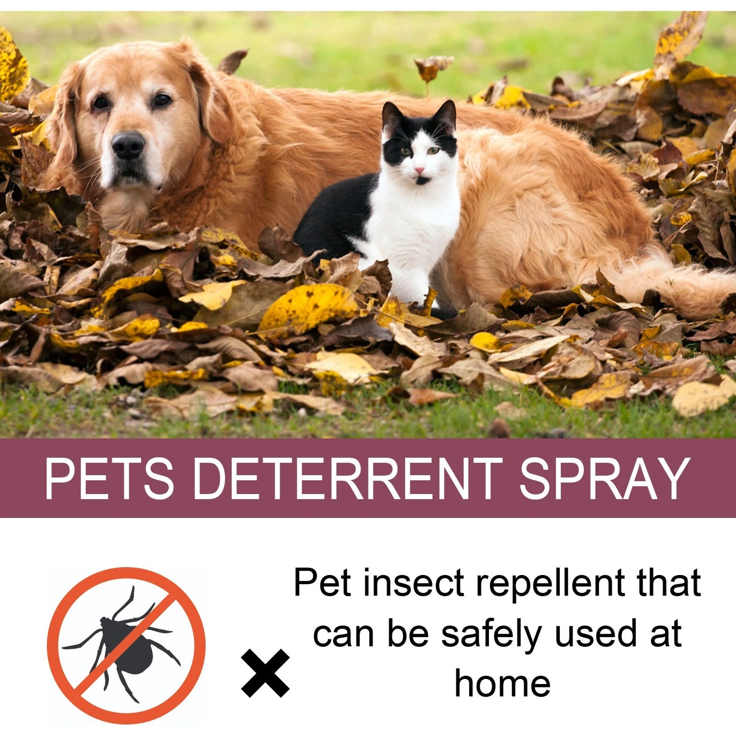 Insect Repellent Spray