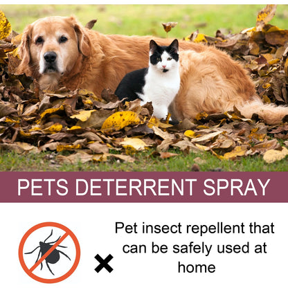 Insect Repellent Spray
