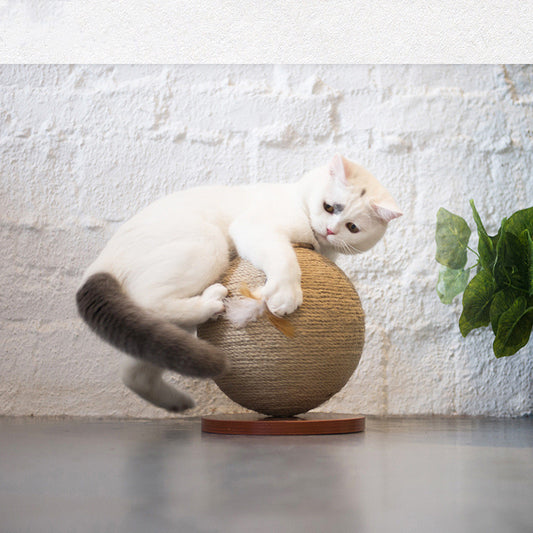 Cat catches ball