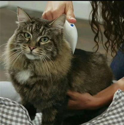 Cat Lice Remover