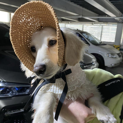 Lace Pet Hat