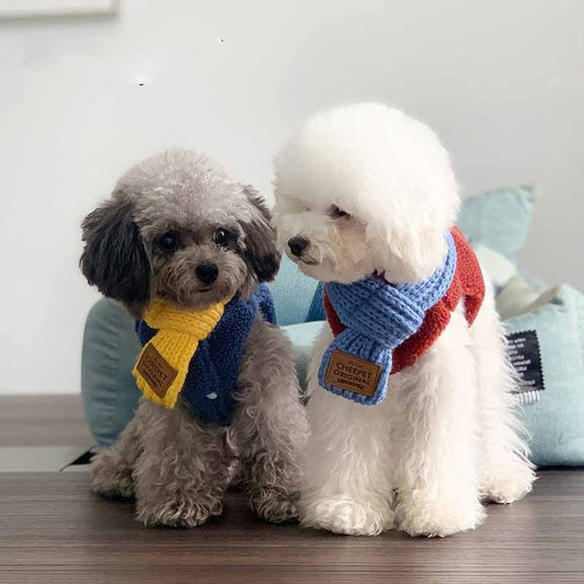 Pet Snow Collar