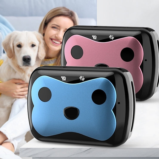 Pet Locator Collar