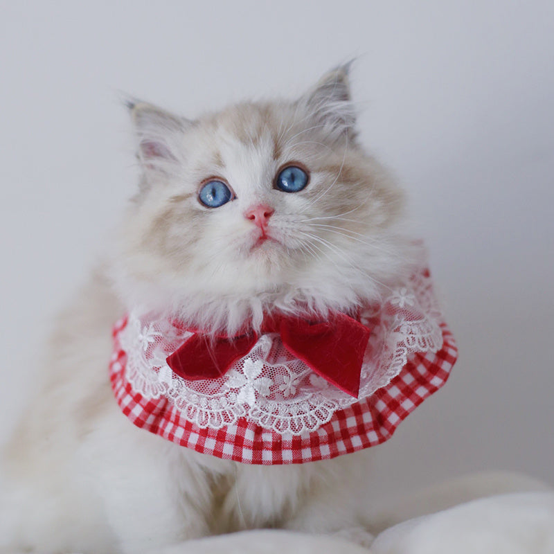 Cute Pet Jewelry