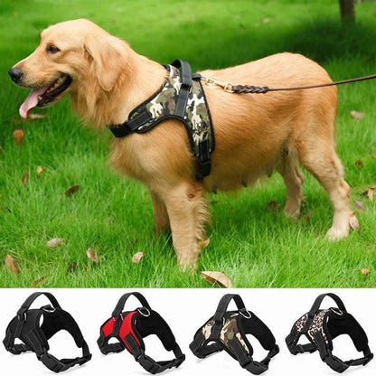 Premium Nylon Dog Collar Set - Stylish And Durable Pet Accessories
