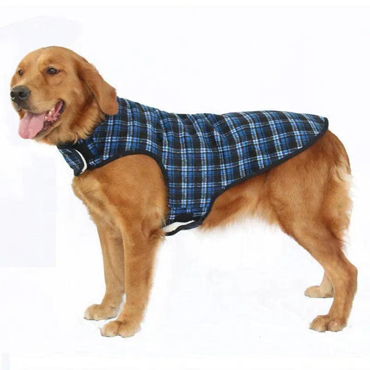 Extra Large Dog Clothing: Stylish And Comfortable Apparel For Big Dogs