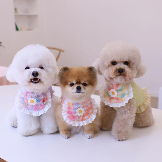 Lace Dog Towel