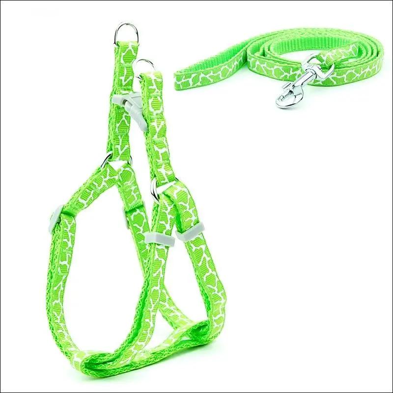 Pet Adventure Chest Strap Leash - Premium Quality Dog And Cat Walking Harness