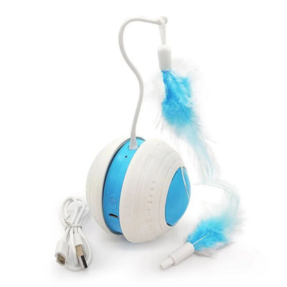 Pet Feather Teaser Ball