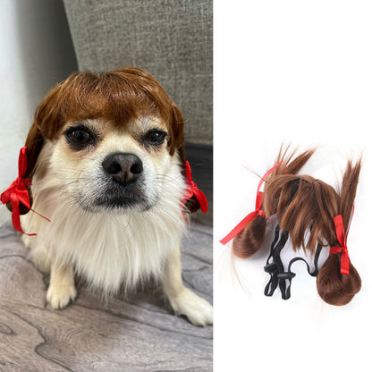 Halloween Pet Costume