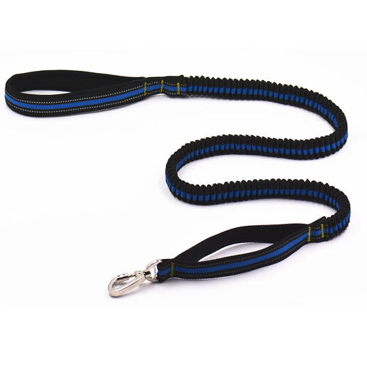 Black and blue dog leash with a metal clip on a white background