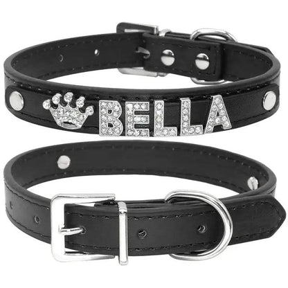 Cat and Small Dog Collar