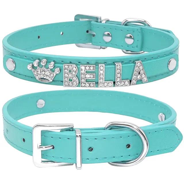 Cat and Small Dog Collar