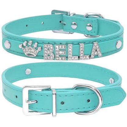 Cat and Small Dog Collar