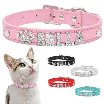 Cat and Small Dog Collar