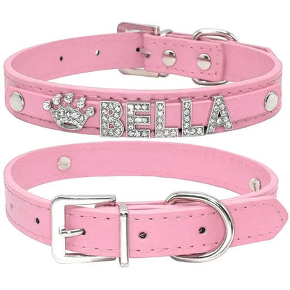 Cat and Small Dog Collar