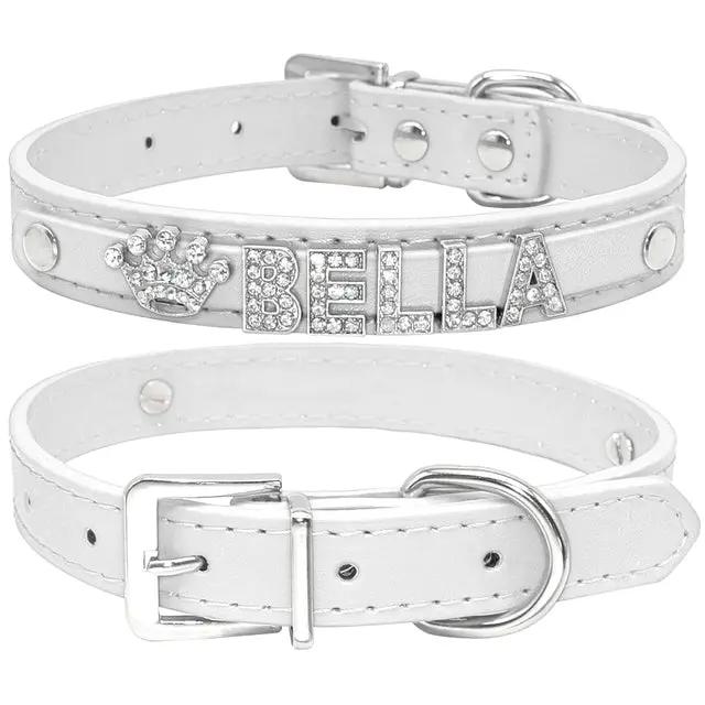 Cat and Small Dog Collar