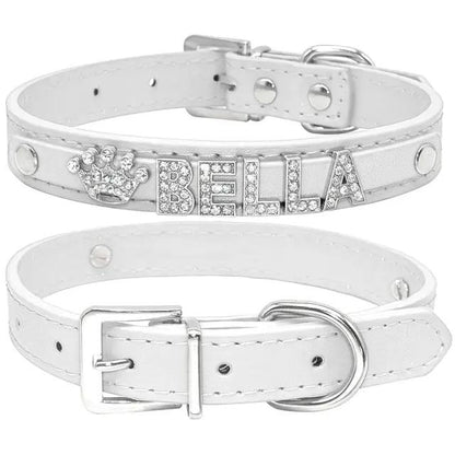 Cat and Small Dog Collar