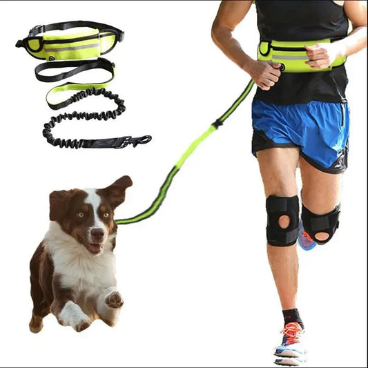 Person running with a dog on a leash, wearing a reflective waist bag and knee brace.