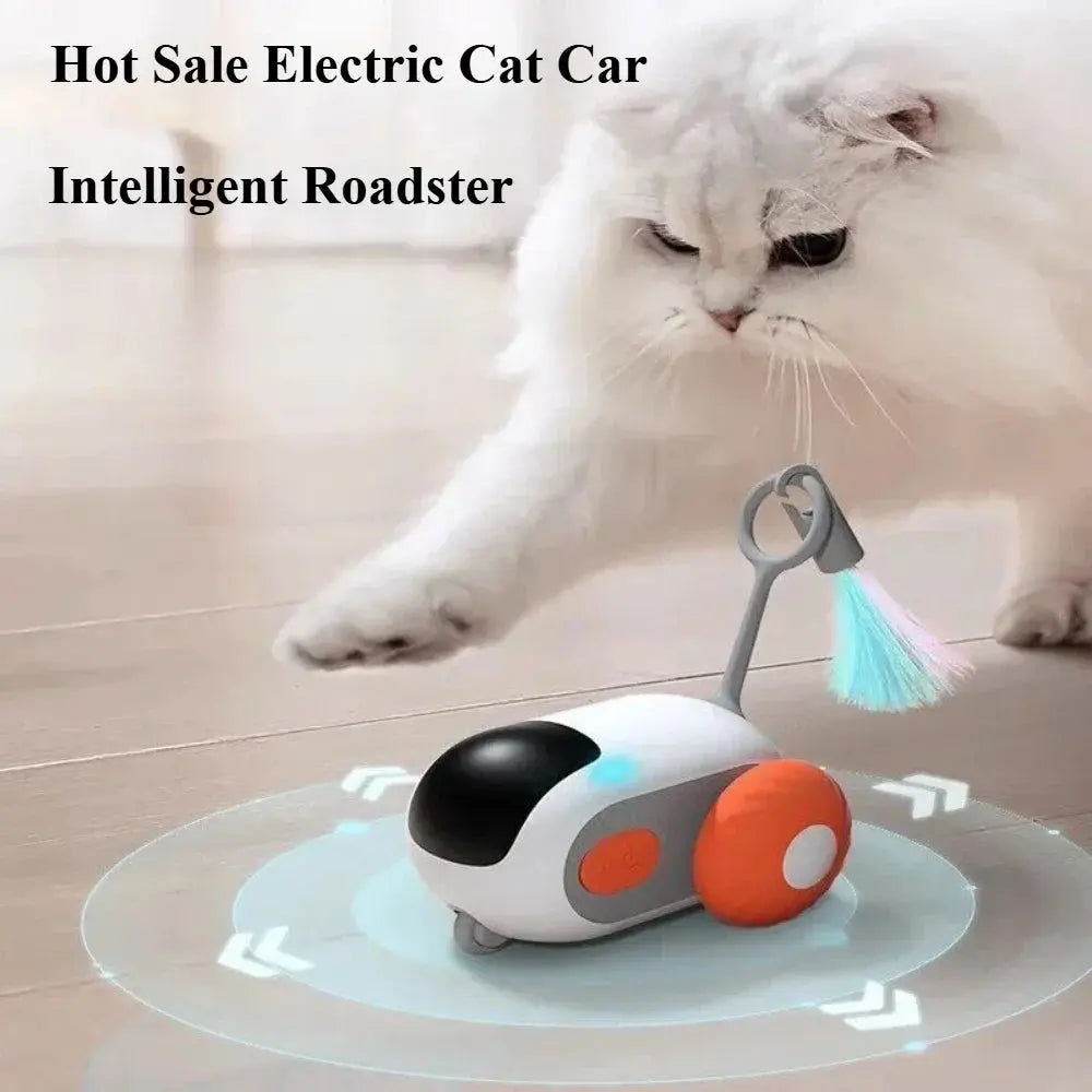 Interactive Remote Control Cat Toy Car