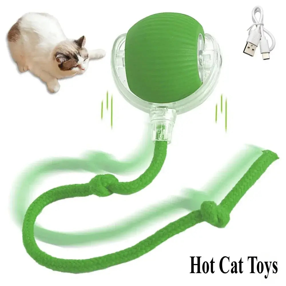 Interactive Toy Cat