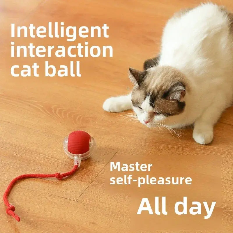 Interactive Toy Cat