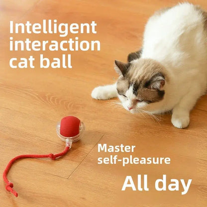 Interactive Toy Cat