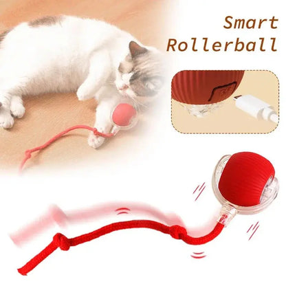 Interactive Toy Cat