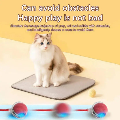 Interactive Toy Cat