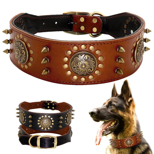 Brown leather dog collar with gold studs and decorative plates, displayed on a white background with a dog wearing the collar.