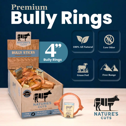 4" Bully Rings Display Box