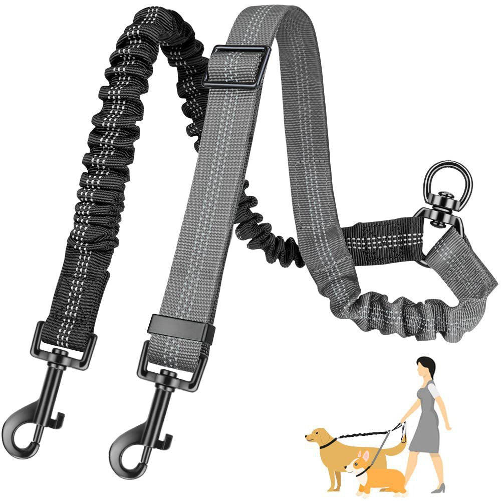 Dual Dog Leash