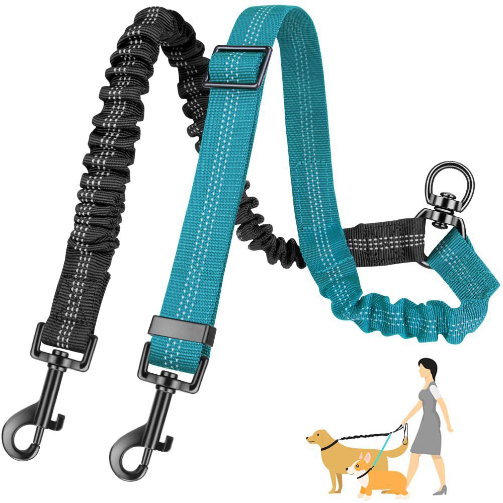 Dual Dog Leash
