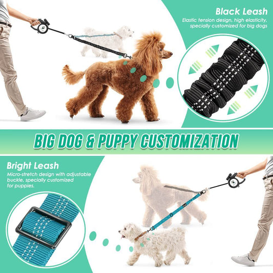 Dual Dog Leash