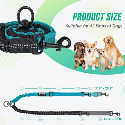 Dual Dog Leash