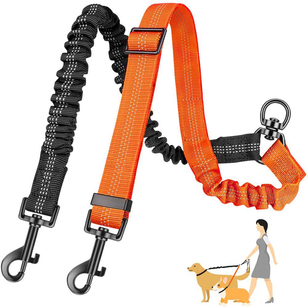 Dual Dog Leash