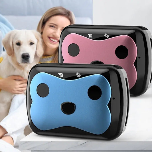 Three dog-shaped pillows in black, pink, and blue with a person holding a dog in the background.
