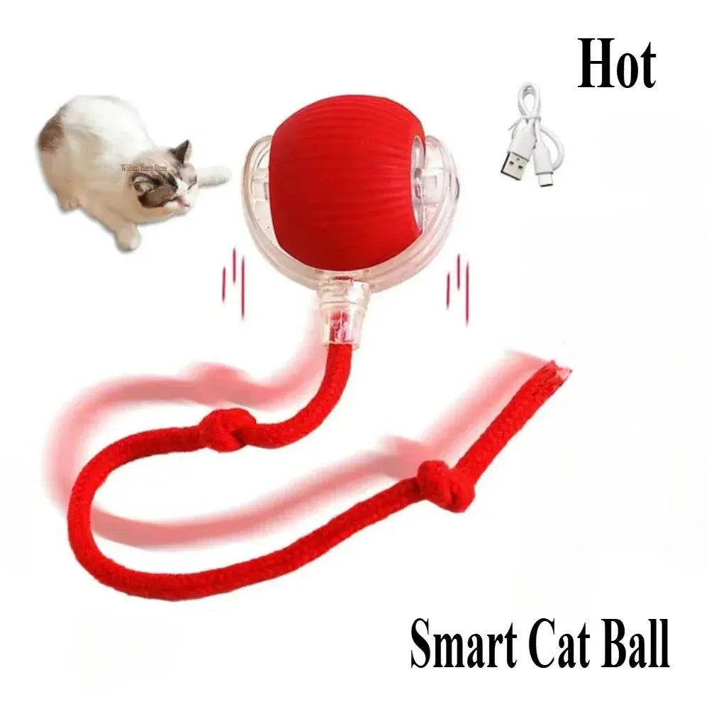 Rechargeable Cat & Dog Rolling Toy