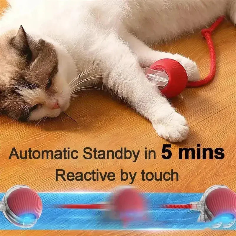 Rechargeable Cat & Dog Rolling Toy