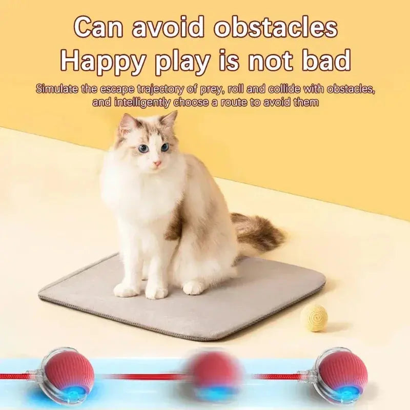 Rechargeable Cat & Dog Rolling Toy