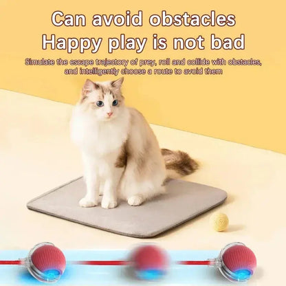 Rechargeable Cat & Dog Rolling Toy